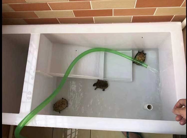 家用龜箱